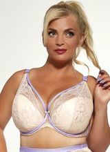 Loli Pop Bralette Push Up