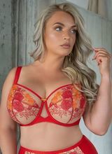 Sweetheart Soft Full Cup