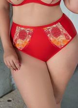 Sweetheart Briefs High Waist