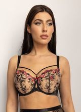 Flamenco Half Cup Soft
