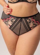 Flamenco Figi Wysoki Stan