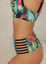 Jungle Brazyliany Wysoki Stan