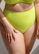 Lemon Briefs High Waist